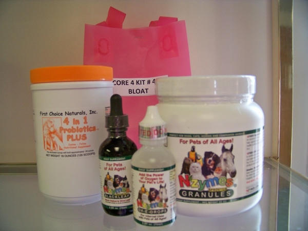 Kit #40 - CORE 4 - (4 in 1 ORANGE) Aids in Bloat Prevention & Lower Yeast & Giardia Levels