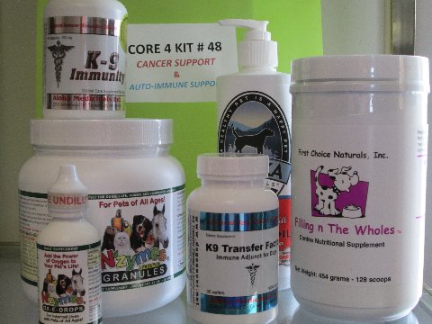 Kit #48 - Cancer & Auto-Immune Support