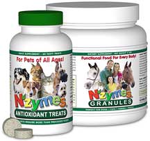 Nzymes - Dietary Enzymes (chewable or granular)